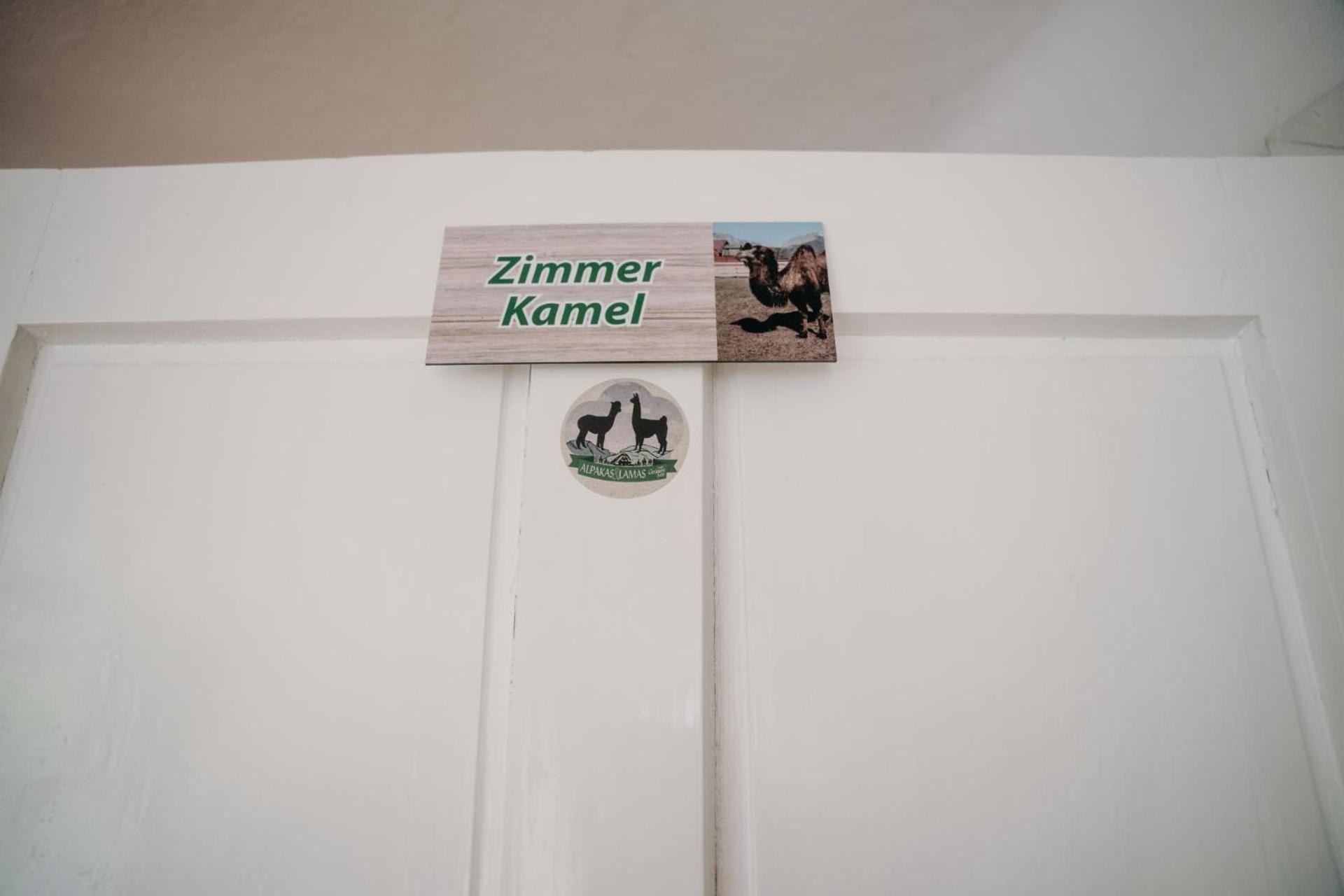 Alpakas, Lamas Und Rentiere Zum Gruenen See Grossdorf  Exterior foto